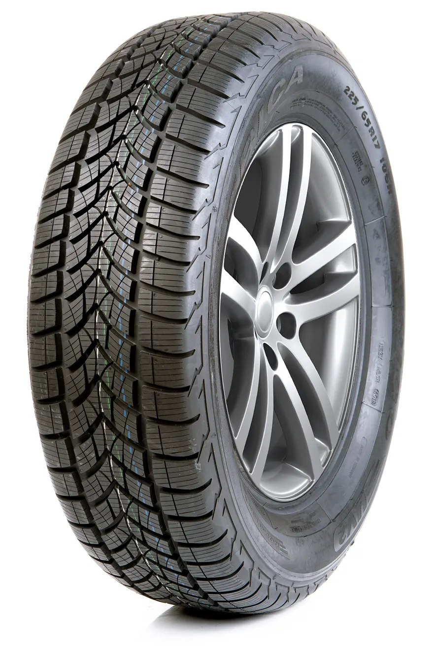 Dębica 225/65 R17 FRIGO SUV 2 XL 106H - obrazek 2