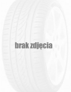 Toyo 255/55 R19 OBSERVE EWS1 111V XL
