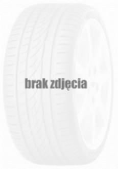 Toyo 255/60 R18 OBSERVE EWS1 112V XL